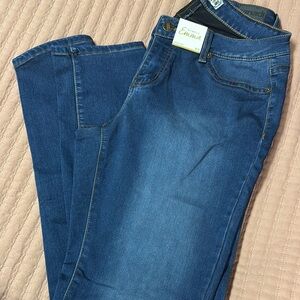 Zanadi Women's Blue Jeggings